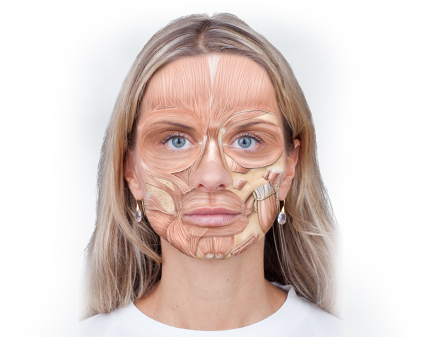 Mimikresonanz Training